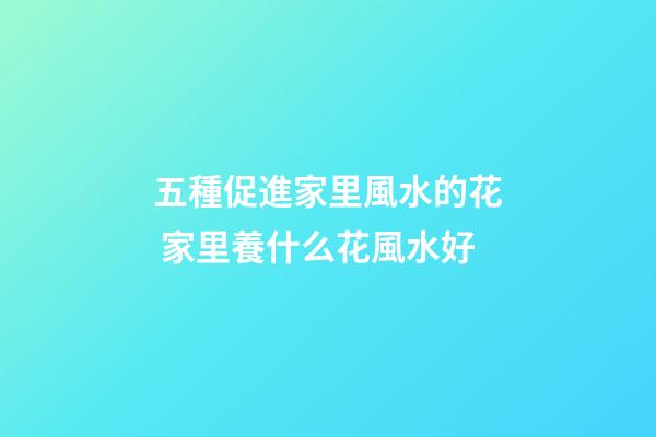 五種促進家里風水的花 家里養什么花風水好